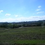 DSCN0684