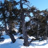 P1220090